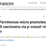 食管癌预后差？科学家揪出“潜伏”真凶：这种口腔细菌竟在驯化免疫细胞！