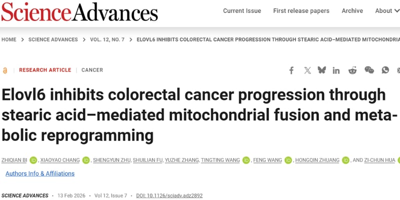 肠道健康的“守护者”：南京大学发现结直肠癌新靶点，补充这种“油”竟能抑癌？
