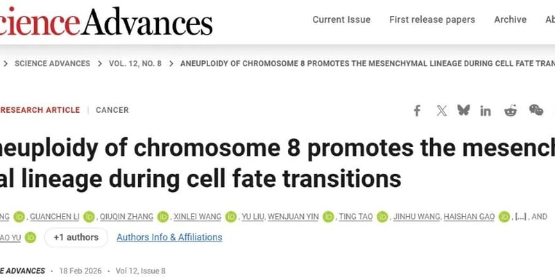 破解癌症非整倍体之谜：西湖大学揭示8号染色体增益如何驱动肿瘤发生