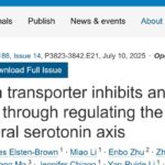 Cell重磅：抗抑郁药竟成PD-1神助攻！揭秘血清素如何激活免疫系统