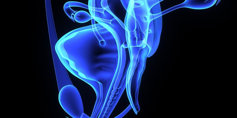 100%生存率！卡度尼利单抗挑战复发性宫颈癌治疗极限