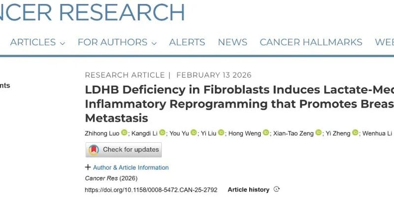 乳腺癌转移机制新突破：武汉大学团队发现“代谢刹车”LDHB，重启微环境抗癌力