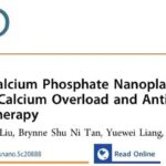 肿瘤“断粮”加“中毒”！新型纳米平台协同铜死亡与钙过载，让癌细胞无处遁形