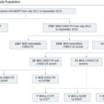 癌症遗传迷雾：CHEK2基因突变如何影响患癌风险？深度解析1+1>2的遗传效应