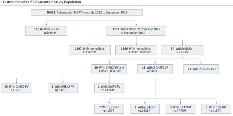 癌症遗传迷雾：CHEK2基因突变如何影响患癌风险？深度解析1+1>2的遗传效应