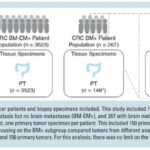 结直肠癌脑转移并非“死局”：深度解析基因预测如何改写治疗指南