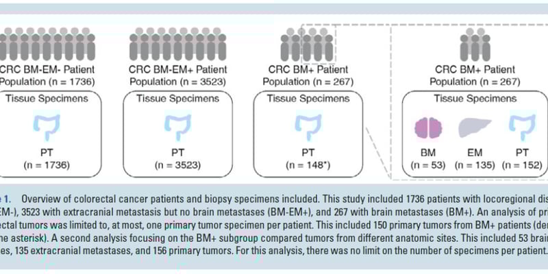 结直肠癌脑转移并非“死局”：深度解析基因预测如何改写治疗指南