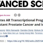 晚期前列腺癌耐药之谜告破？澳门大学发现“双重间谍”蛋白，联合治疗现曙光