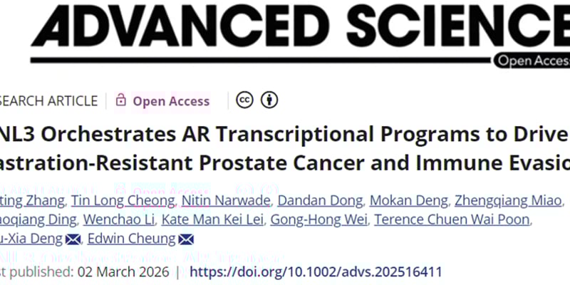 晚期前列腺癌耐药之谜告破？澳门大学发现“双重间谍”蛋白，联合治疗现曙光