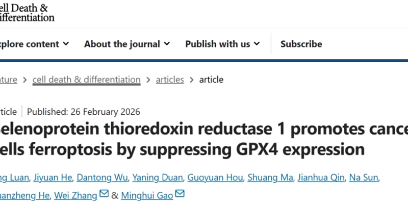 让癌细胞加速“生锈”死亡！TrxR1靶点研究获新突破