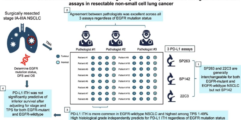 非小细胞肺癌(NSCLC)PD-L1检测：EGFR突变如何影响免疫治疗选择？