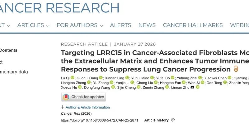 瓦解肿瘤“钢筋水泥”！北大团队发现LRRC15新靶点，非小细胞肺癌免疫治疗迎来重大突破