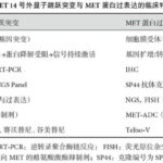 肺癌治疗进入“双靶”新时代！2026 NCCN 指南深度解读：新药、新靶点与救命策略