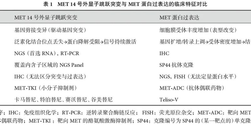 肺癌治疗进入“双靶”新时代！2026 NCCN 指南深度解读：新药、新靶点与救命策略