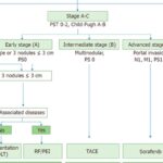 肝癌切除 vs 肝移植：肝癌患者的终极治疗抉择与生存指南