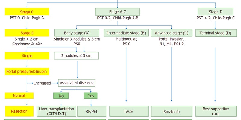 肝癌切除 vs 肝移植：肝癌患者的终极治疗抉择与生存指南