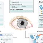 视力模糊、干眼？深度解析ADC药物“眼毒性”：从机制到预防，守护抗癌“视”界