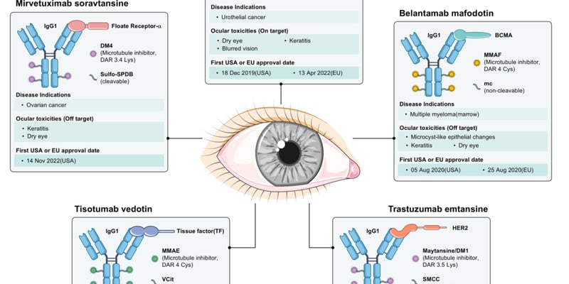视力模糊、干眼？深度解析ADC药物“眼毒性”：从机制到预防，守护抗癌“视”界