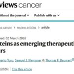 晚期胃癌患者的新希望：一文解析Claudin 18.2靶向新药与前沿疗法