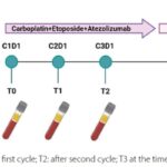 小细胞肺癌进展快不用怕？抽血即测阿替利珠单抗疗效，深度解析生存预后