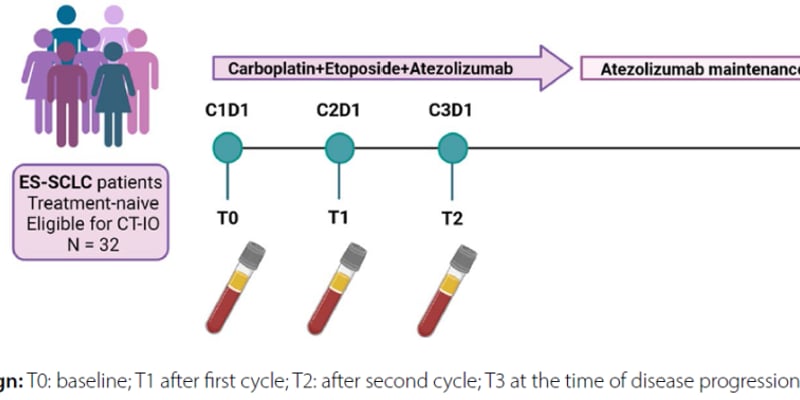 小细胞肺癌进展快不用怕？抽血即测阿替利珠单抗疗效，深度解析生存预后