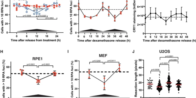 晚间放疗效果翻倍？揭秘生物钟与DNA修复，精准抗癌新希望