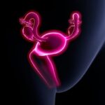 婦科腫瘤治療新進展：Denileukin diftitox聯合K藥展現強效抗癌潛力