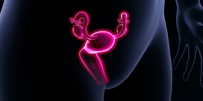 婦科腫瘤治療新進展：Denileukin diftitox聯合K藥展現強效抗癌潛力