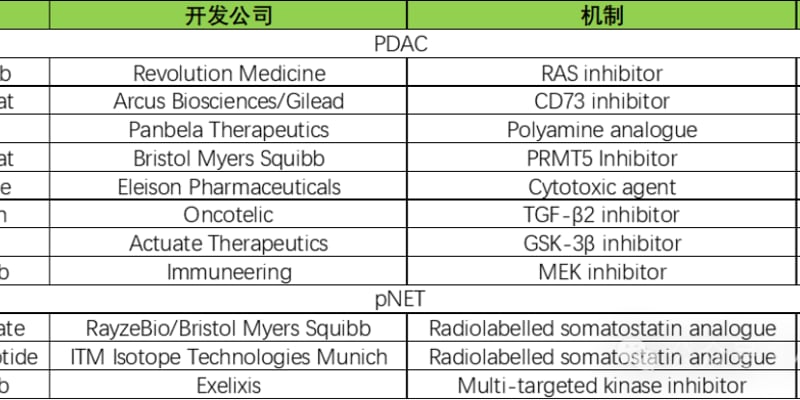 胰腺癌新药突破：靶向免疫与前沿疗法，揭秘未来十年生存希望