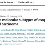 食管鳞癌治疗突破：四大分子亚型定义精准医疗新标准，助力延长生存期