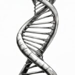 免疫治疗效果如何？抽血即知！ctDNA甲基化检测或成为癌症治疗风向标