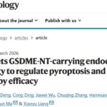 细胞焦亡能否“关掉”？TOLLIP-自噬清除GSDME孔道与化疗增敏