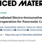 胰腺导管腺癌PDAC：IRE电穿孔联合CpG纳米佐剂的治疗逻辑与前景