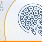 多发性骨髓瘤移植后怎么维持？双药维持是否更好一次讲清