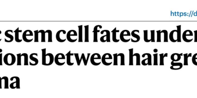 压力长白发真能“防癌”？p53与黑色素干细胞揭示白发和黑色素瘤的取舍
