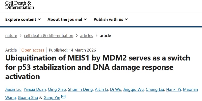结直肠癌p53通路如何再激活：MEIS1‑MDM2机制与新靶点解读