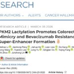 肠癌克星「贝伐珠单抗」为何失效？新发现揭示耐药“代谢开关”与破局之道