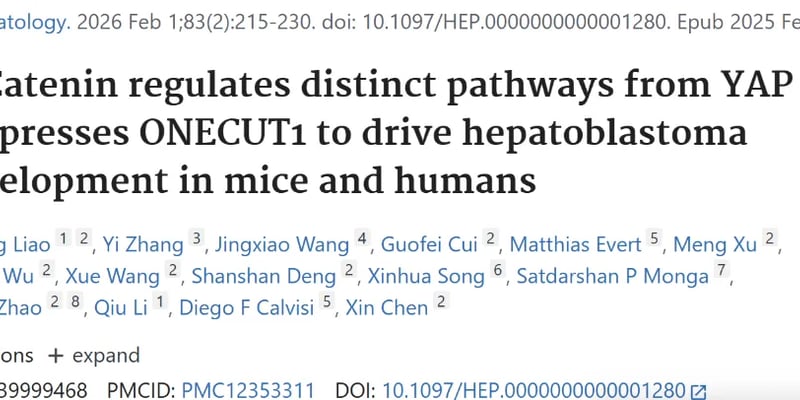 肝母细胞瘤为何容易复发进展？YAP与β-Catenin分工揭秘与ONECUT1新线索