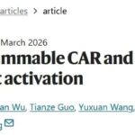 CAR-T治疗实体瘤新突破：抗原逃逸、脱靶毒性与精准激活如何破解
