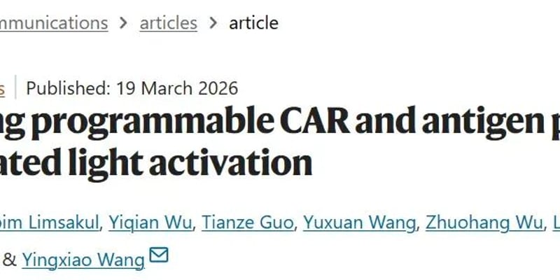 CAR-T治疗实体瘤新突破：抗原逃逸、脱靶毒性与精准激活如何破解