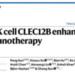 CLEC12B靶向纳米抗体：重启NK细胞抗肿瘤的新免疫治疗思路