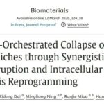 癌症总复发转移？从癌症干细胞巢入手：超声+纳米平台如何“拆墙断粮”精准清除
