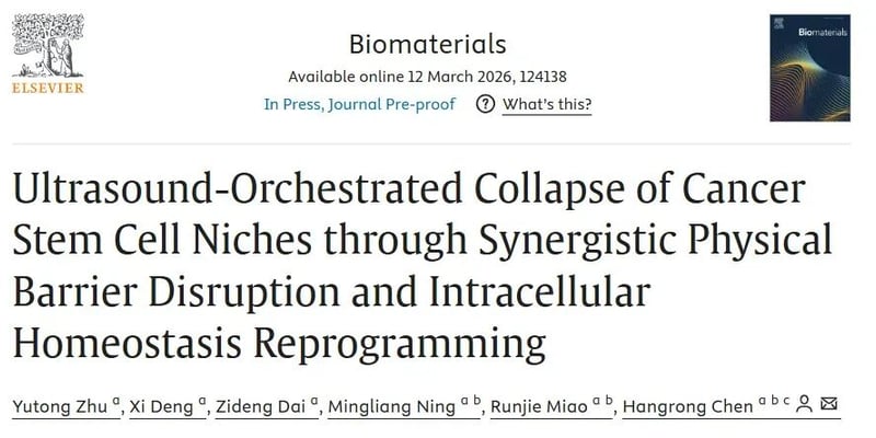 癌症总复发转移？从癌症干细胞巢入手：超声+纳米平台如何“拆墙断粮”精准清除