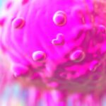 癌症精准治疗40年：曲妥珠单抗到德曲妥珠单抗