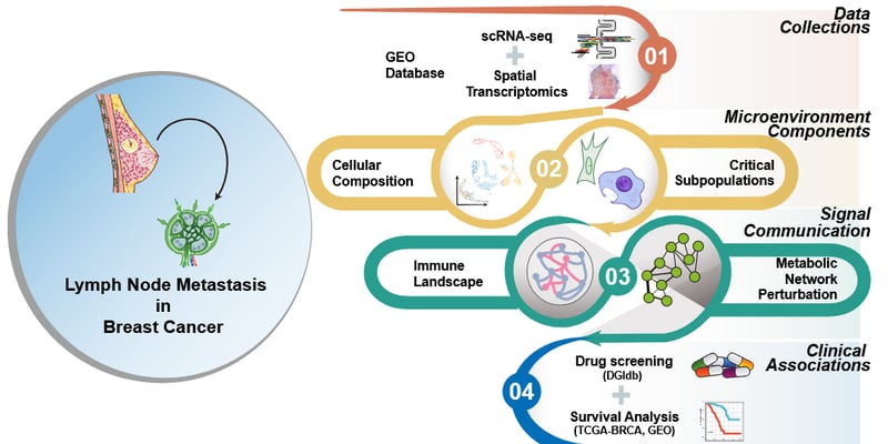 乳腺癌为何会“跑路”？科学家揪出转移元凶，这些老药或成保命关键