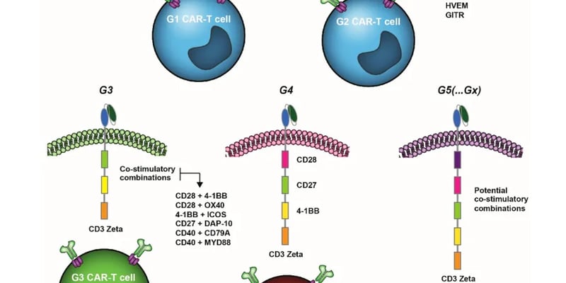CAR-T共刺激结构域怎么选？4-1BB与OX40深度解读