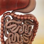 肛管鳞状细胞癌怎么治？一线免疫联合化疗与后线用药全解析