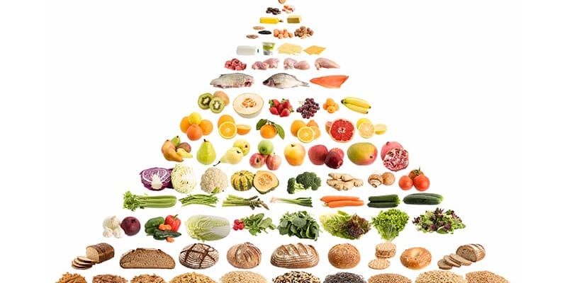 新版食物金字塔与癌症：怎么吃降风险、治疗期如何补营养