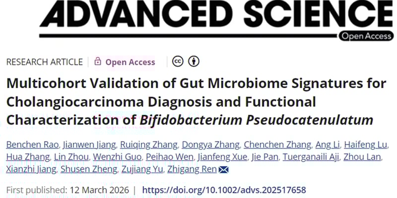 胆管癌粪便菌群无创诊断：模型AUC与假长双歧杆菌-PI3K机制解读