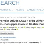 胃癌免疫治疗为何效果有限？新研究锁定LAG3+Treg关键驱动轴